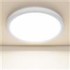 SKUTZTEK Plafoniera LED Soffitto, Lampada da soffitto 3000K/4000K/6500K, Moderno Plafoniera Bagno Ultrasottile Rotonda IP44 Impermeabile, per bagno, soggiorno, camera da letto, cucina (22cm 4000K)