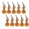Tuoservo 10 zucca secca naturale decorativa fiori secchi frutta accenti bottiglia di zucca piccola per matrimoni rustici composizioni floreali decorazioni per la casa ornamenti da tavolo