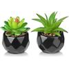 MOKIDO 2 piante grasse artificiali, piante decorative