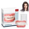 LAKVIL Denti finti da applicare da soli,Faccette Dentali Universali Superiore E Inferiore Provvisoria Denti Finti Di Cattivi Imperfetti,Protesi Dentale,con 50g gel per la dentizione
