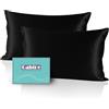 Gabire Set di 2 federe in vera seta di gelso su entrambi i lati, per capelli e pelle, prevenzione dell'acne, confezione da 2, con cerniera nascosta, nero, standard (50,8 x 66,6 cm)