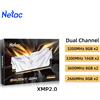Netac Memoria Ram DDR4 8GBX2 16GBX2 DDR4 3200mhz 3600mhz 2666mhz Memoria Dissipatore di calore XMP2.0 288Pin Doppio canale con dissipatore di calore per PC