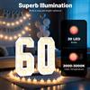 NONE 30/40/50/60 Numeri luminosi, Decorazione per festa di compleanno da 100 cm, Decorazione per feste Kit fai da te per decorazioni per anniversario