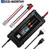 ECO－WORTHY ECO-WORTHY Caricabatterie LiFePO4 12V/24V 20A con Opzioni Multi-Corrente 5A/10A/15A/20A, Automatico per Auto e Camion