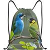SMAZDFXX Zaino con coulisse Borsa sportiva da palestra Uccelli verde colori Borse con coulisse per palestra Sport Yoga Viaggio Piccolo