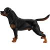 BESPORTBLE Statuina Realistica di Cane Rottweiler in Plastica Nera | Apprendimento Zoologico e Mini Casa, Portatile, Realistico e Vivido, per Studenti, Collezionisti e Set Fotografici