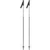 VAN DEER Bastoni RACE CARBON Sci Alpino