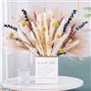 LiangYuanZen 100 Pezzo Pampas Erba Fiori Secchi Decorazione, Fiori Secchi Fluffy, Fiori Secchi Bouquet per Tavolo Matrimonio Vasi Soggiorno Boho Home Decor (Estremamente Lussuoso)
