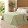 Generico FORTE - Gran Foulard per Divano Telo Copridivano in Tessuto Loneta (250x280) Telo Copritutto Misto Cotone Perfetto come Coperta Copriletto Leggero Tinta Unita (Verde Chiaro)