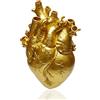 HUYIWEI Vaso a forma di cuore anatomico in resina, scultura vaso arte, arredamento per la casa desktop