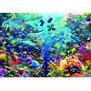 Ravensburger Spielverlag RAVENSBURGER puzzle paradiso subacqueo 9000 pezzi