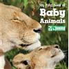 My First Book of Baby Animals (National Wildlife Federation) (Libro di cartone)