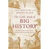 Ian Crofton Jeremy Black The Little Book of Big History (Tascabile)