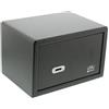 BURG-WÄCHTER Cassaforte a mobile con chiavi, Cassaforte robusta, Cassaforte resistente, Point-Safe, 6,7 l, 8,0 kg, PW 1 S, Nero
