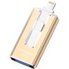 SUDEHO Chiavetta USB 256GB per iPhone certificata MFi, 4 conn USB3.0, Oro