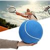Generic Pallina da Tennis in Gomma Gonfiabile da 8 Pollici per Gioco Divertente Ed Esposizione con Rete per Bambini e Animali Domestici Blu (BLUE)