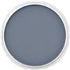 PanPastel Colorfin Pan Pastel Payne's grey 840.3 9 ml by Colorfin