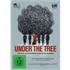 Lighthouse Home Entertainment Under The Tree (DVD) Hafsteinn Gunnar Sigurosson