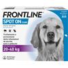 BOEHRINGER FRONTLINE SPOT ON CANI 20/40 Kg 3 pip