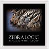 Black & White Group Zebra Logic (CD)