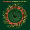 Gov't Mule Dub Side of the Mule Standard Version (CD)