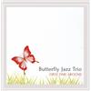Butterfly Jazz Trio First Time Around (CD)