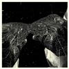 Secret Boyfriend Memory Care Unit (Vinyl LP) 12" Album