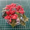 Kit Pallina in vetro con stelle di Natale rosse