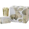 Hervit Set Candela Profumata con Tazza Mug in Porcellana in Box Regalo Botanic - Scatola Regalo con Tazza da Te 270ml e Candela al Biscotto 70gr - 4 colori differenti (Giallo-2)