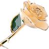 Brrnoo Fiore di Rosa in Oro 24k Artigianale, Ornamento con Supporto per Amore Eterno, Opera d'Arte Unica nel Mondo