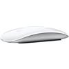 Apple Magic Mouse [MK2E3Z/A]