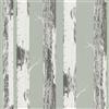 Rasch home style 285413 - Carta da parati in carta verde con tronchi di betulla, foresta di betulla, 10,05 m x 0,53 m