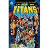 Marv Wolfman George Perez New Teen Titans Omnibus Vol. 2 (Copertina rigida)