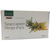 NATURA SERVICE Srl LIGNE SPACCAPIETRA VERGA 20AMP