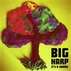 Big Harp It's a Shame (Vinyl LP) 7" Single