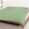 Delindo Lifestyle Piumino 135 x 200 cm, verde, facile da curare, trapunta Dream Colour, estivo, sottile, leggero, Oeko-TEX Standard 100, adatto agli allergici