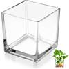 Kichvoe Vaso Quadrato in Vetro Trasparente 4X4 Pollici Vaso Idroponico Moderno Per Casa Ufficio Decorazione Semplice Ed Elegante