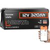 Humsienk Batteria LiFePO4 12V 320Ah Bluetooth con BMS 250A, 4096Wh, Protezione a Bassa Temperatura, 15000+ Cicli, Batteria Litio per Camper, Sistemi Solari, UPS, Off-Grid