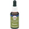 BUSH BIOTHERAPIES Pty Ltd ELECTRO 30ML AUSTRALIAN