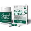 INNOVET ITALIA Srl Condrostress Cat 30 Capsule - Supporto Osteoartrite e Mobilità Felina