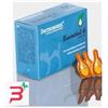 LDCA SAS ESSENTIAL 6 SPOT ON GATTI 4 PIPETTE 0,6 ML