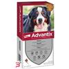 ELANCO ITALIA SPA ADVANTIX SPOT ON*6PIP 40-60KG