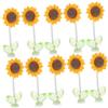 Alipis Decorazione Girasole Elegante per Cruscotto Auto 10 Pezzi in Resina | Interni Vettura e Console Centrale, Installazione Semplice, Stile Delicato, Set Decorativo da Dieci Pezzi Colore Casuale