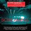 Bjork & Others Screaming Masterpiece (CD)
