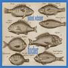 Patent Ochsner FISCHER (CD)