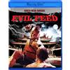 FilmRise Evil Feed(BD) (Blu-ray) Alain Chanoine Laci J Mailey Terry Chen