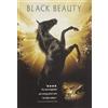 WarnerBrothers Black Beauty (DVD) Sean Bean Alan Cumming David Thewlis Jim Carter Peter Davison