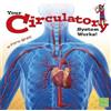 Flora Brett Circulatory (Copertina rigida) Your Body System