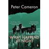 Peter Cameron What Happens at Night (Tascabile)