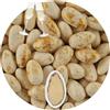 EinsSein 1kg Confetti di Mandorle Matrimonio Premium Gusto Frizzante avorio screziato oro confettata confetto battesimo comunione cresima nascita confettis alla laurea decorazioni bimba bomboniere